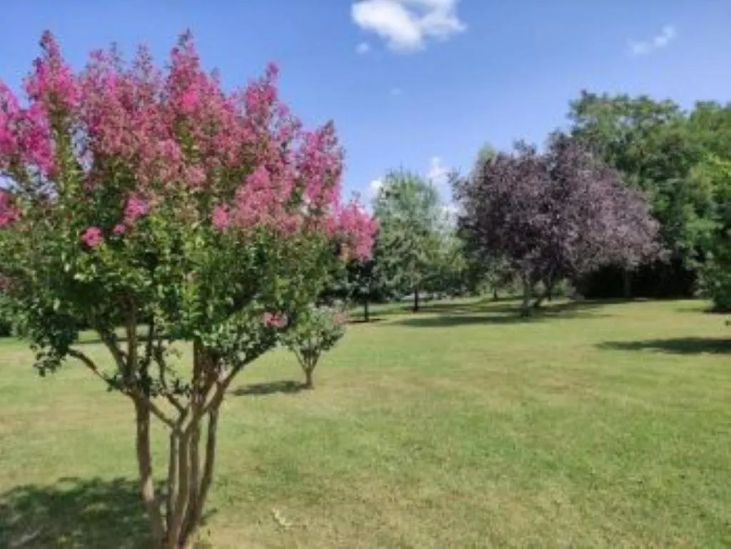 Holiday home Gite Du Mandarin Arrouede